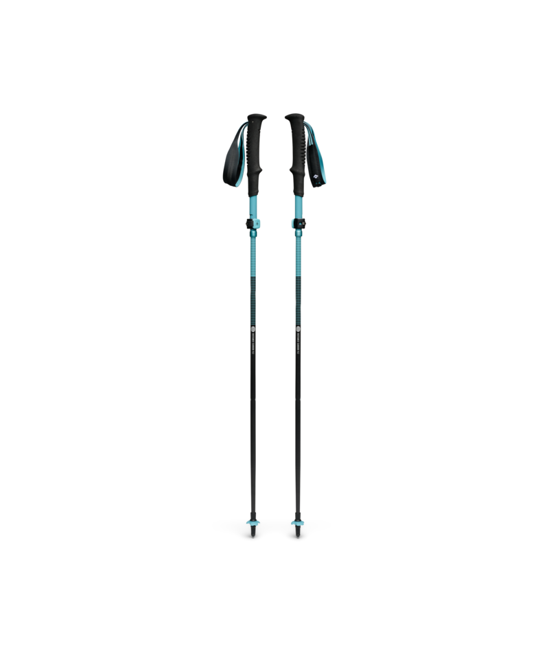 Black Diamond Distance Carbon FLZ Poles
