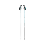 Black Diamond Distance Carbon FLZ Poles