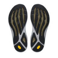 Altra Torin 9 GTX - Men
