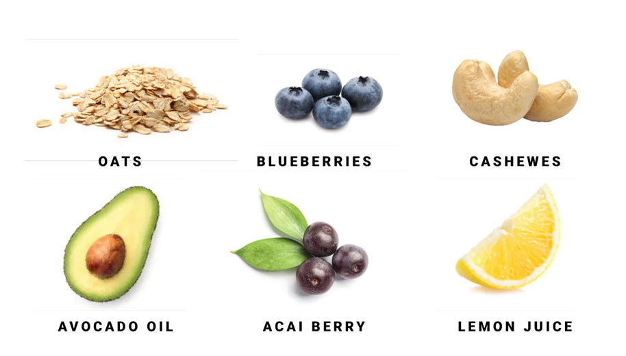 Spring Energy Blueberry Endurance Meal (Vegan) 310 Kcal