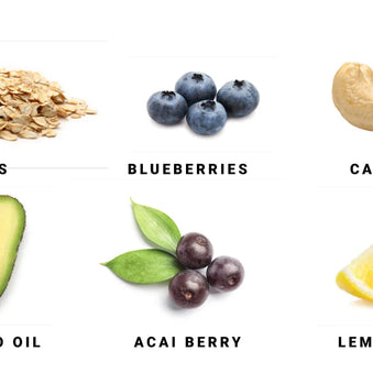 Spring Energy Blueberry Endurance Meal (Vegan) 310 Kcal