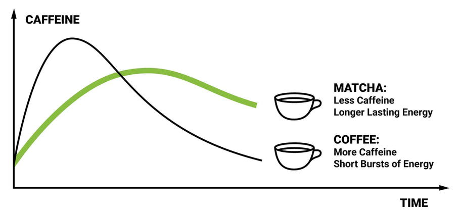 Spring Energy Matcha Berry - (Vegan) Endurance Meal w/ Caffeine - 310 Kcal