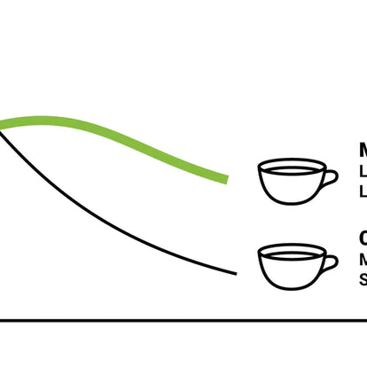 Spring Energy Matcha Berry - (Vegan) Endurance Meal w/ Caffeine - 310 Kcal