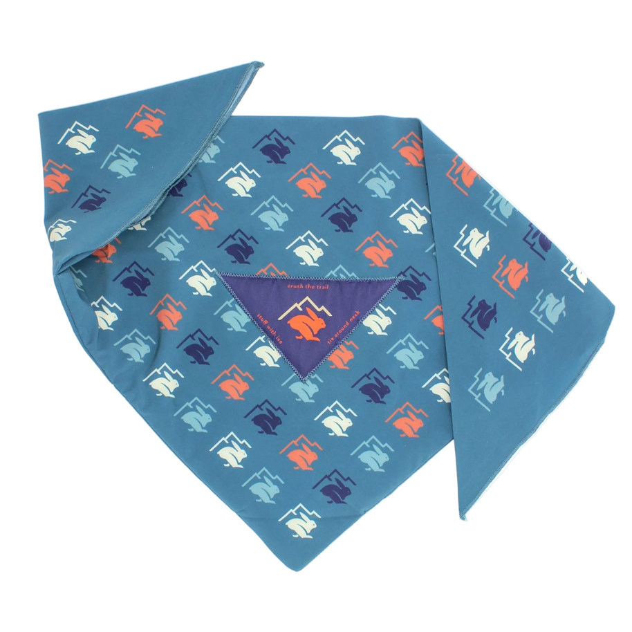 Ice RAD-Dana by Rabbit in blue patterned triangle bandana with dual pockets for ice, made of recycled polyester and spandex for cooling runs