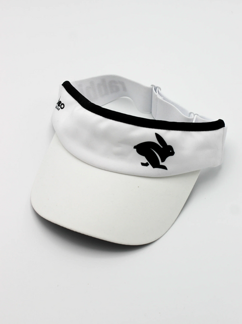 Visor
