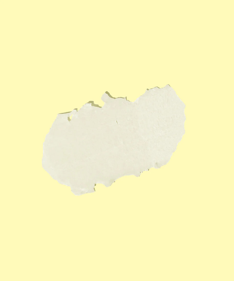 Lipbalm SPF 30 by Sun Bum in light beige, moisturizing lip balm with Aloe and Vitamin E for all-day sun protection and hydration
