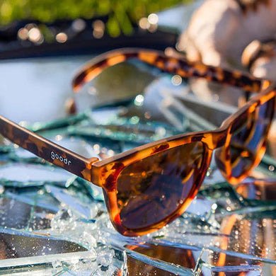 Bosley's Basset Hound Dreams by Goodr in tortoise shell color, stylish glasses inspired by the King of Hounds legend