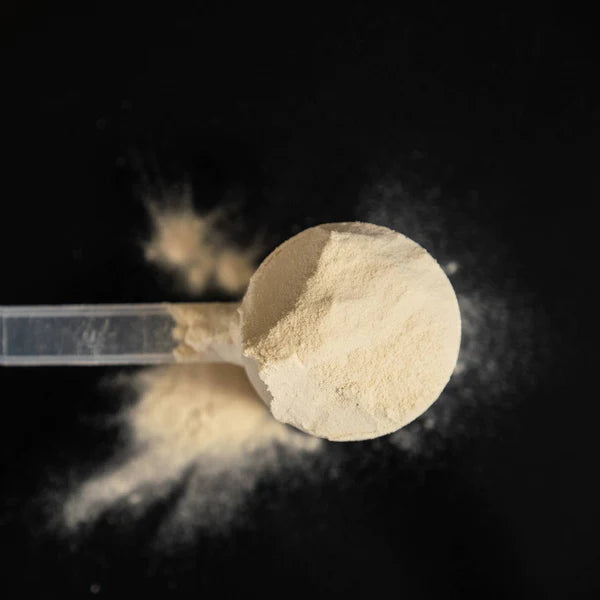 Protein Powder Vanilla by Näak in light beige scoop, high-protein recovery powder for endurance athletes in Canada
