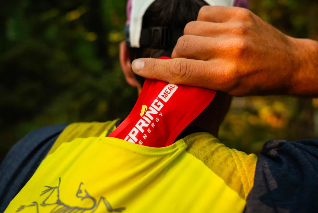 Spring Energy Oat Pineapple (Wolf Pack) - Endurance Meal for Athletes - 310 Kcal