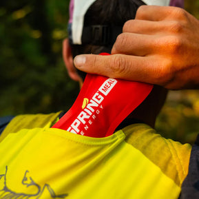 Spring Energy Oat Pineapple (Wolf Pack) - Endurance Meal for Athletes - 310 Kcal