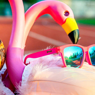 Flamingos On A Booze Cruise by Goodr in bright pink with teal lenses, fun running glasses inspired by flamingo colors for outdoor use