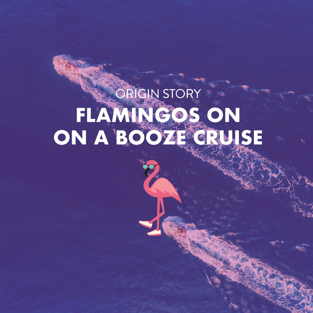 Flamingos On A Booze Cruise by Goodr in pink and teal, stylish glasses inspired by vibrant flamingo feathers and eyes for running and travel